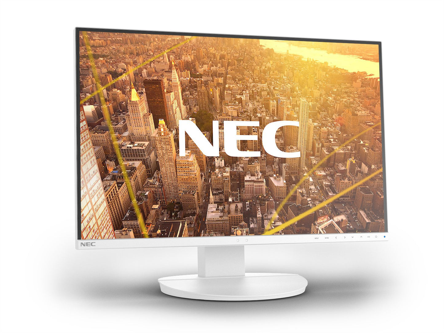 24in LCD monitor with LED backlight IPS 60004486