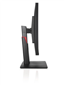 DISPLAY P24-8 WS Pro