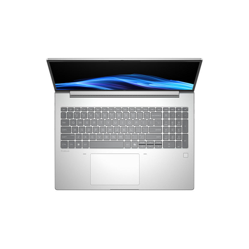 HP ProBook 4 G1a 16 inch, Ryzen 5 230, 16 WUXGA, 300 Nits, 16GB, 512GB PCIe NVMe Value SSD, W11 Pro, WLAN + BT, No FP Sensor, 2Y PUR, WOLF