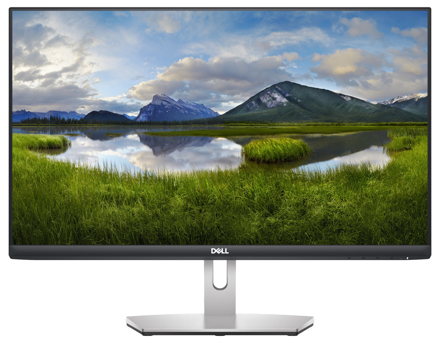 Dell 24 Monitor S2421HN -60.45cm DELL-S2421HN