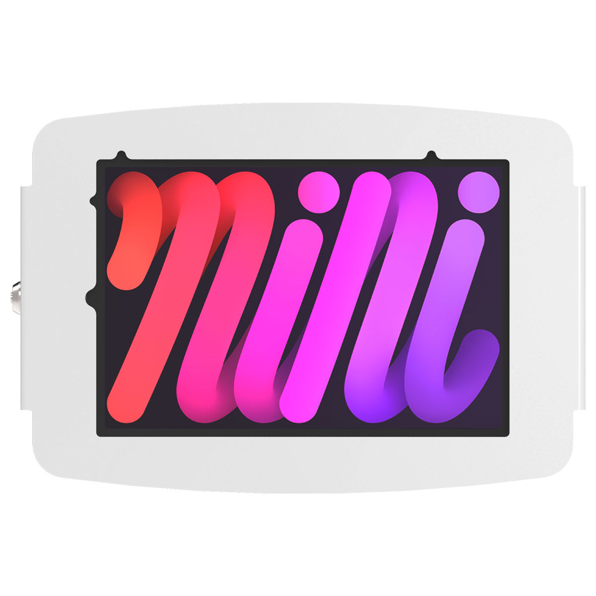 Space iPad Mini 8.3in Secured Enclosure 830IPMSW