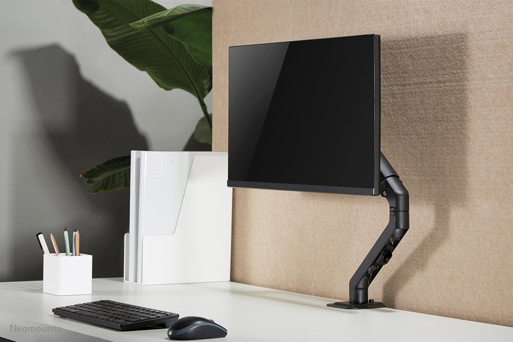 NewStar Flat Screen Desk Mount stand/gr