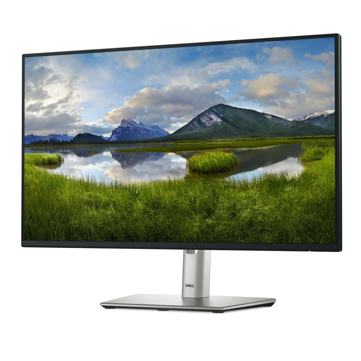 Dell 24 USB-C Hub Monitor-P2425HE 23.8IN DELL-P2425HE