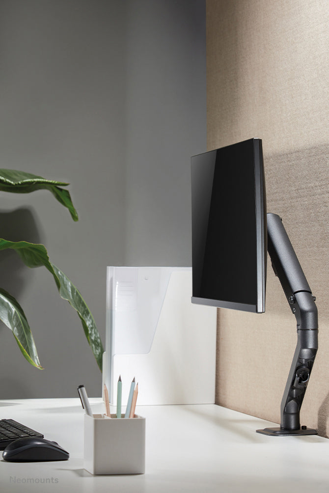 NewStar Flat Screen Desk Mount stand/gr