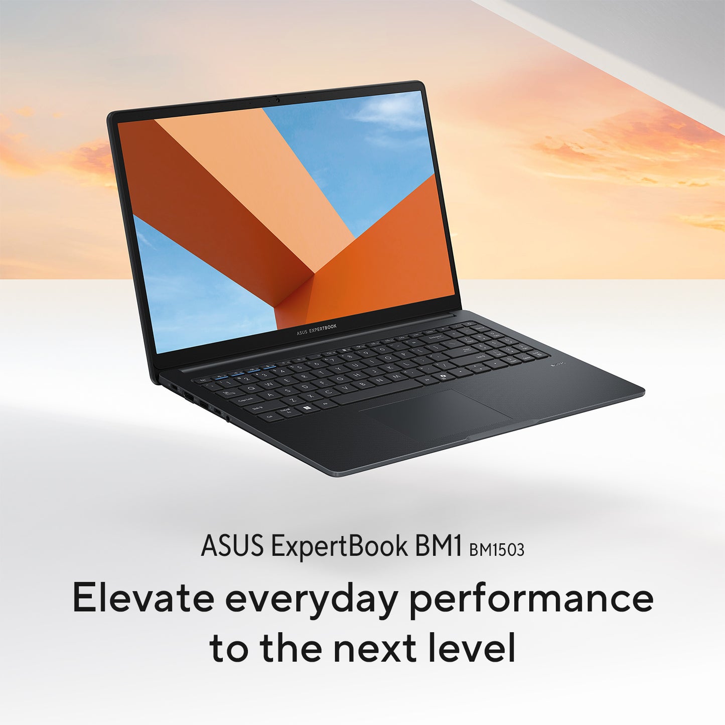 Asus Expertbook BM1503CDA-S71105X