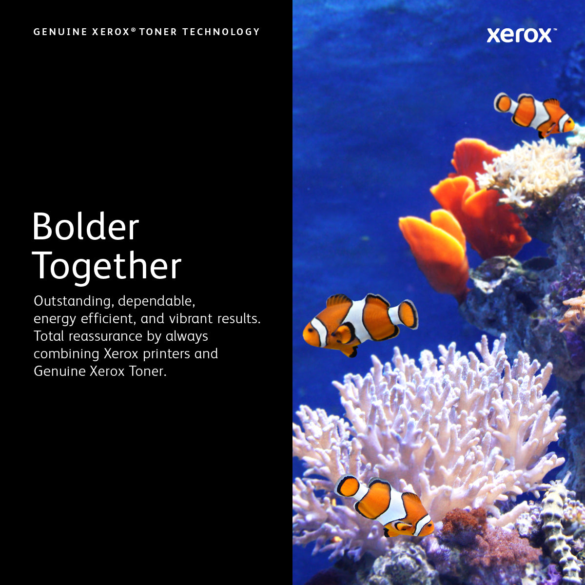 XEROX C8000 Hi Cap MAGENTA Toner