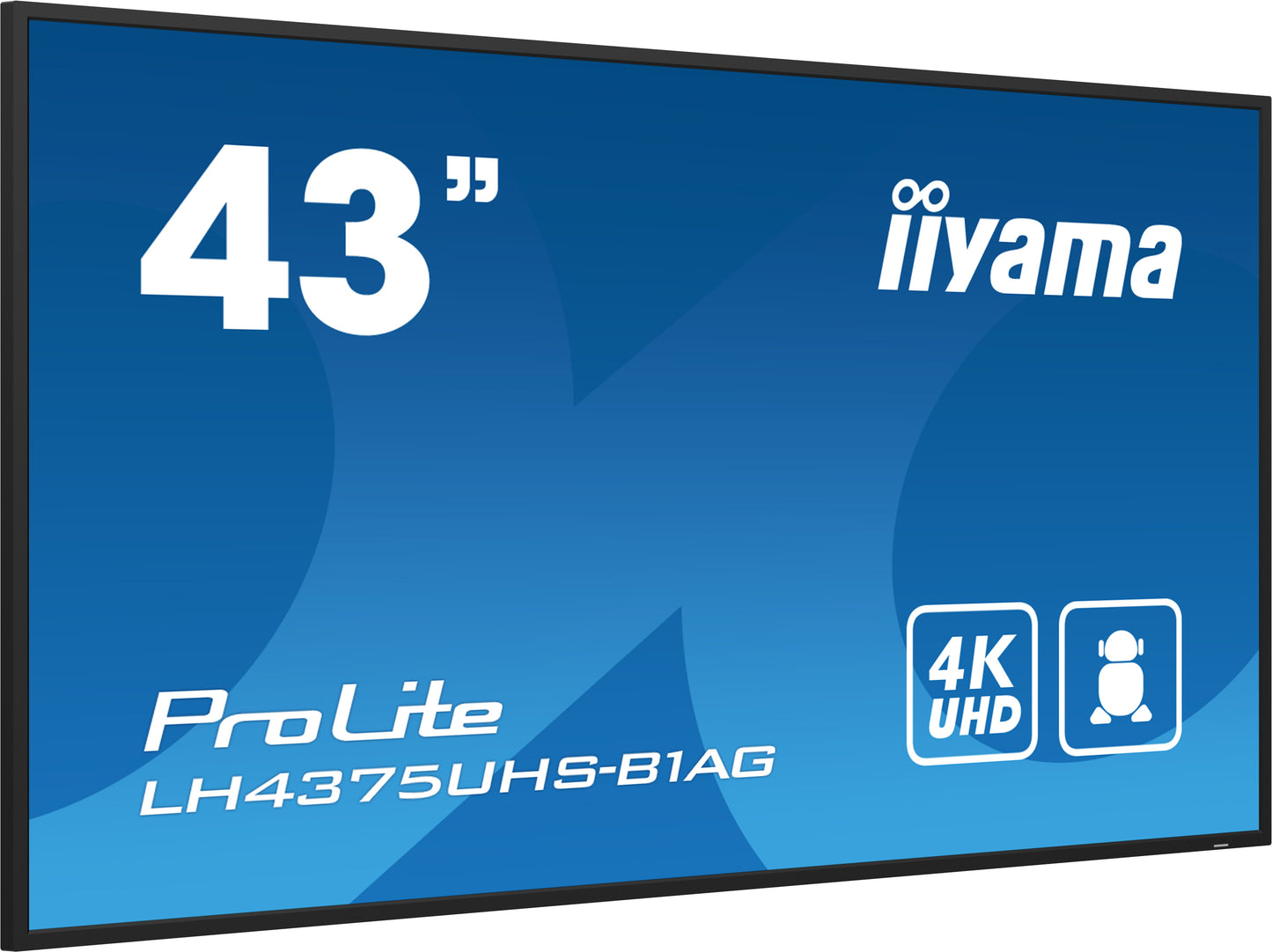 43W LCD 4K UHD IPS