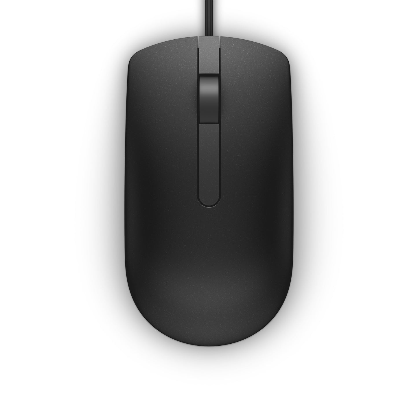 Dell Optical Mouse-MS116 - Black - Retail box