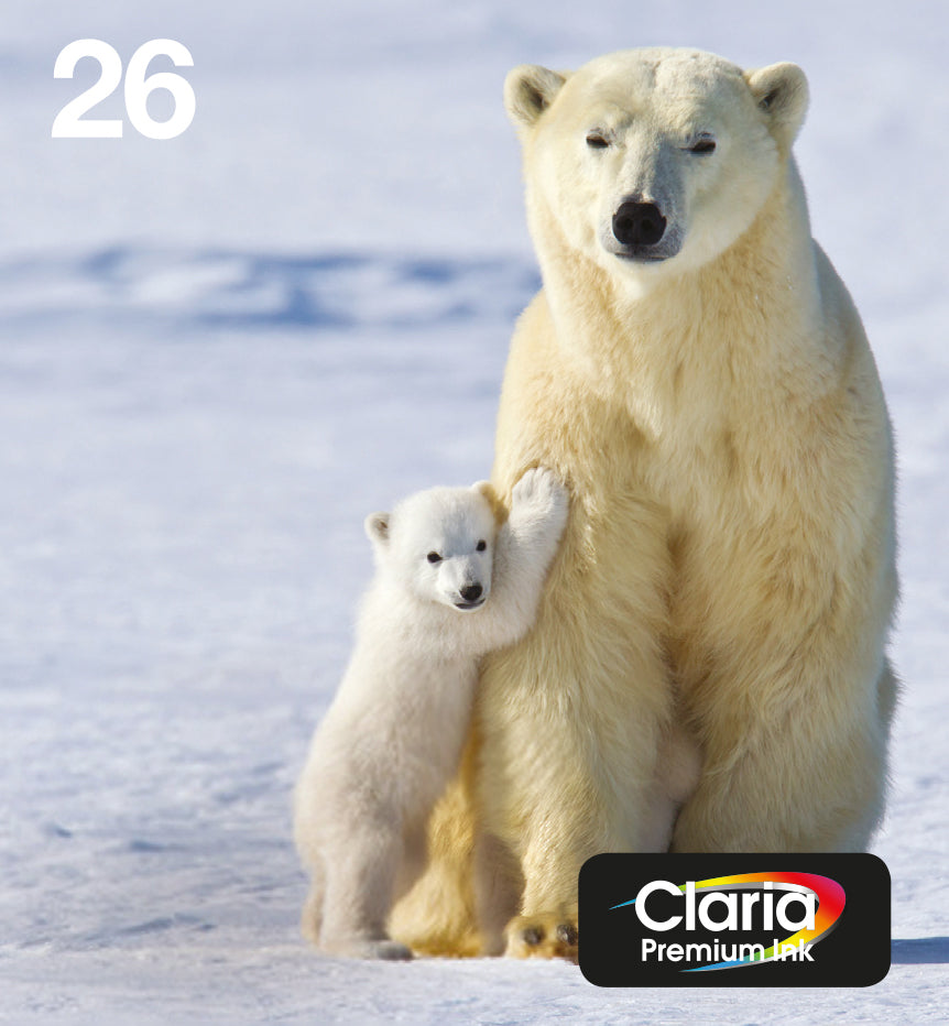 EPSON EasyMail MP Ours polaire-Claria Premium