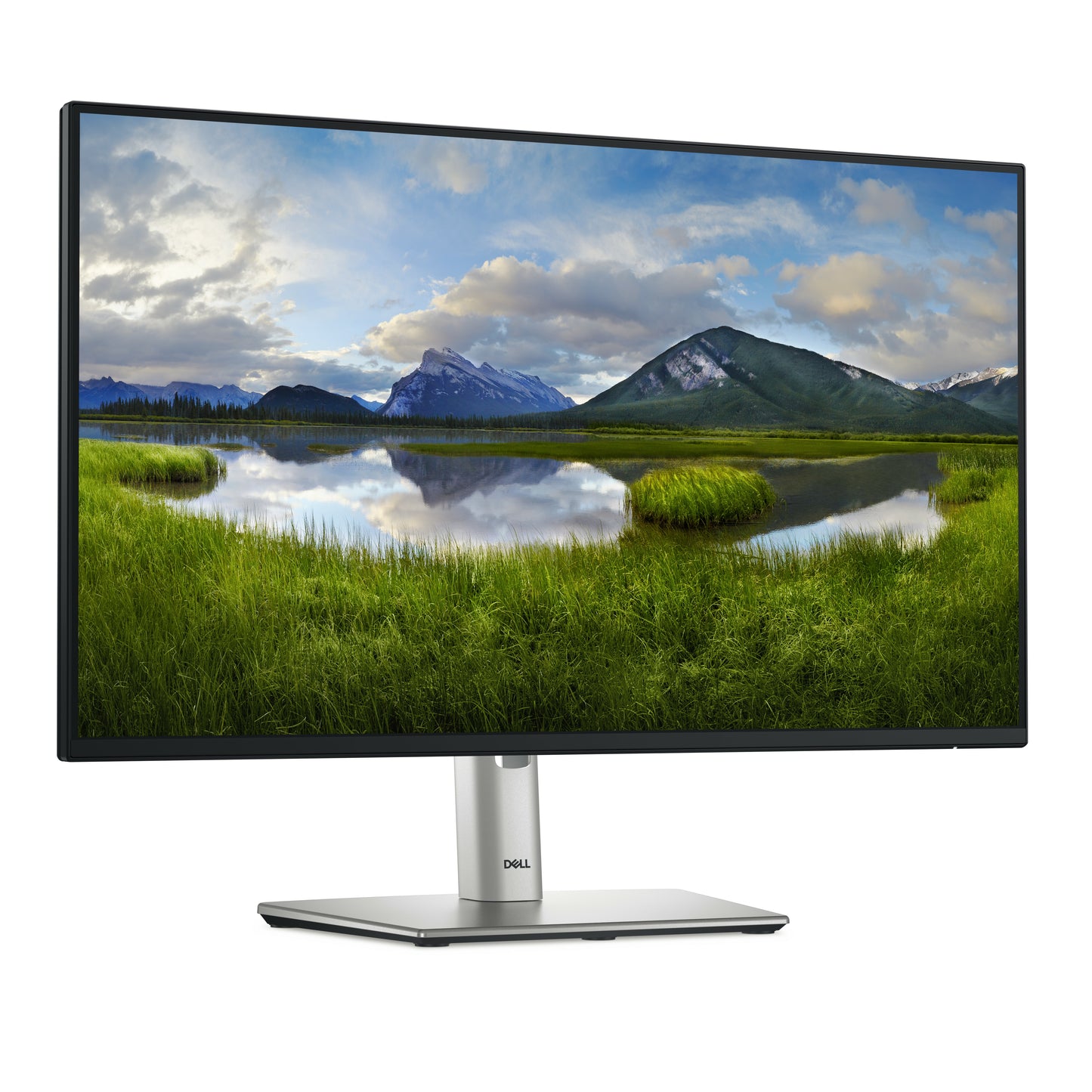Dell 24 USB-C Hub Monitor-P2425HE 23.8IN DELL-P2425HE
