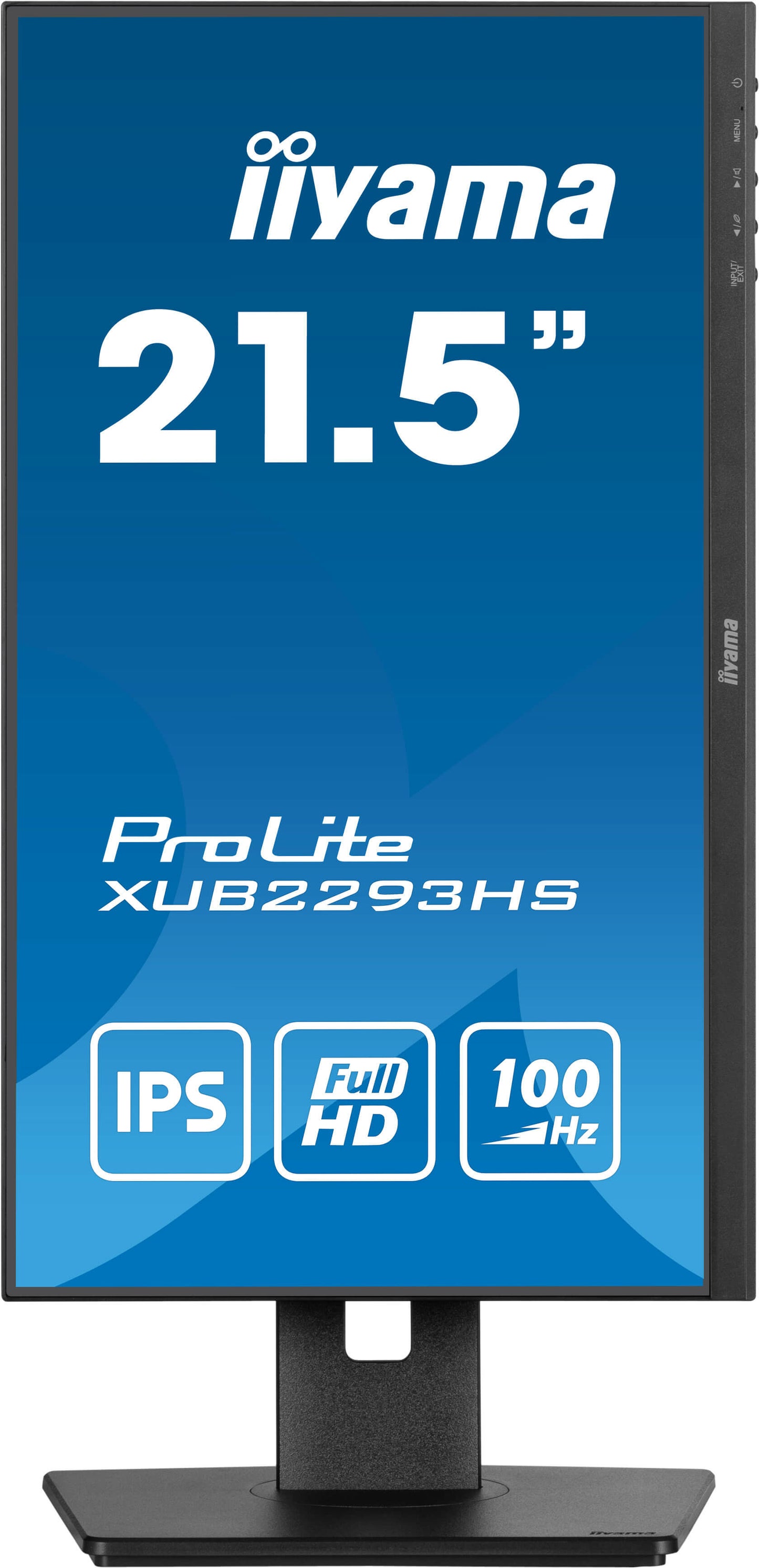 IIYAMA 22W LCD Business Full HD IPS