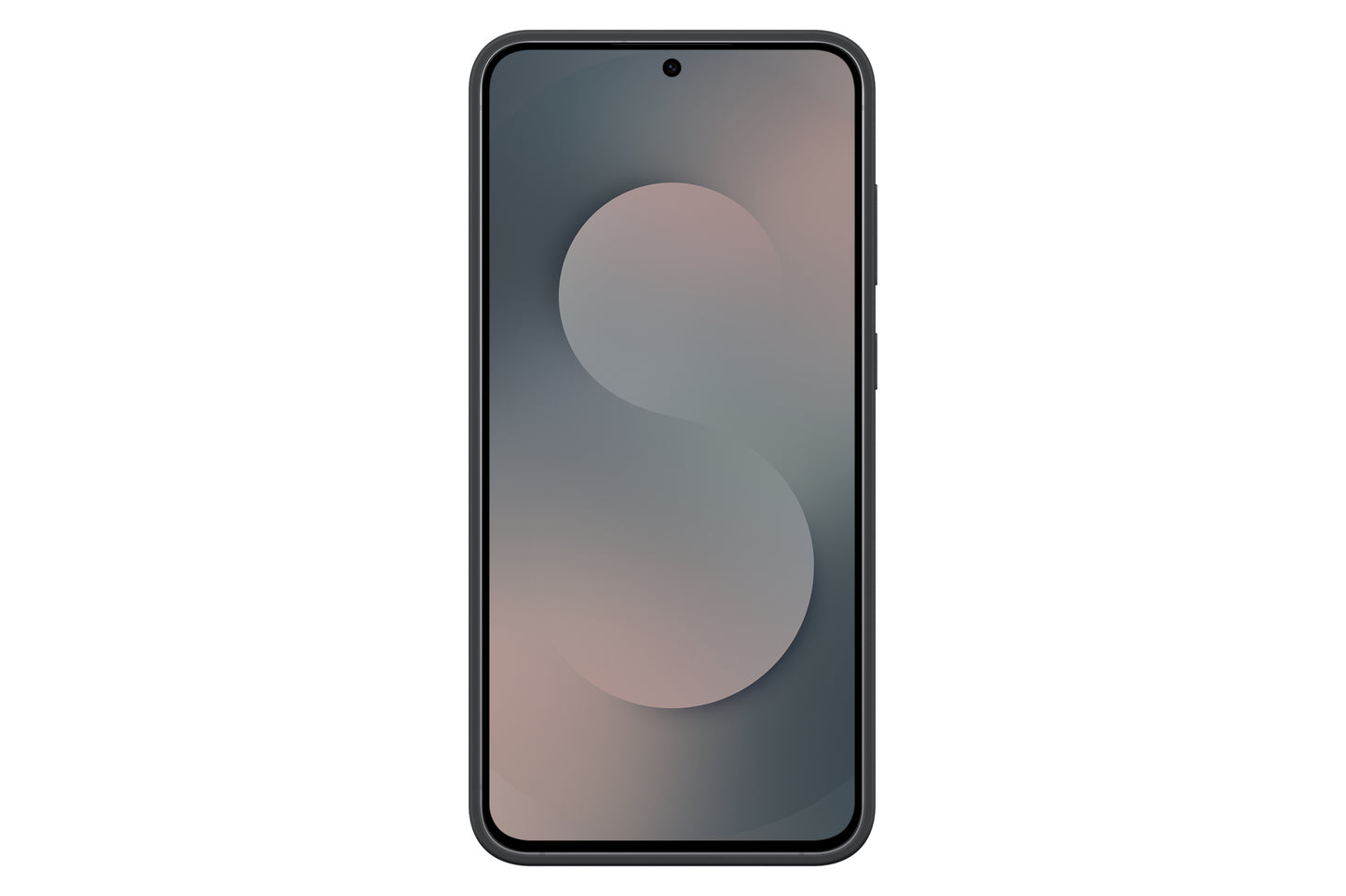 Samsung Silicone Case S25FE Black