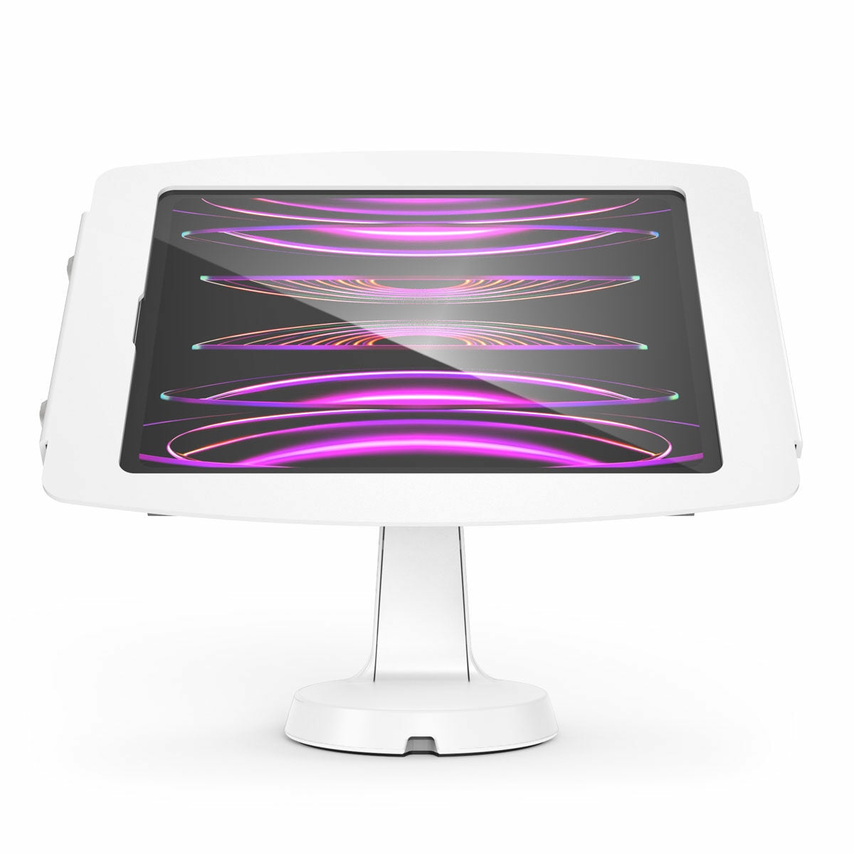 iPad Pro 12.9 3-6th Gen Space Enclosu