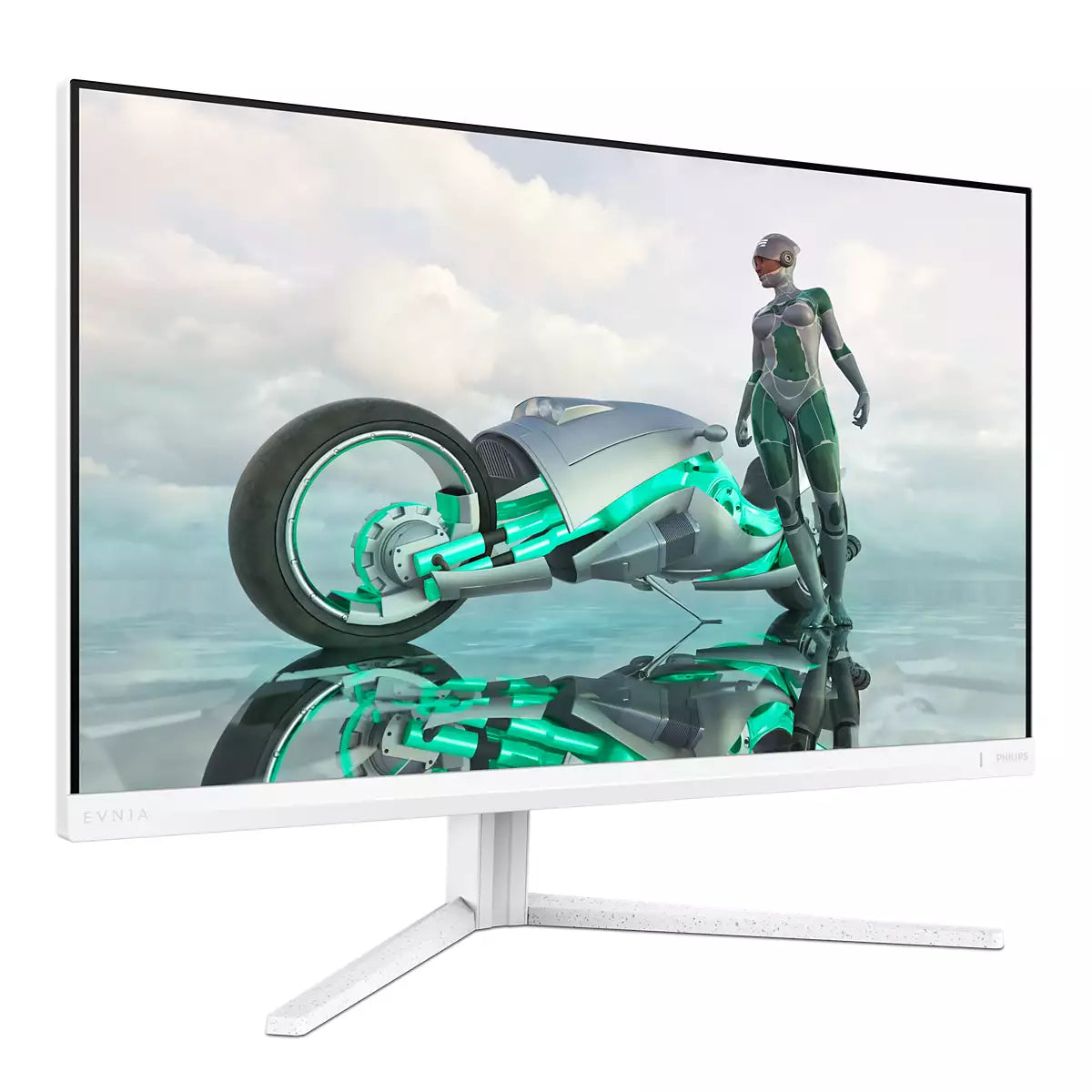 27M2N3201A 27 FullHD IPS 0.5ms 1920x1080 27M2N3201A/00