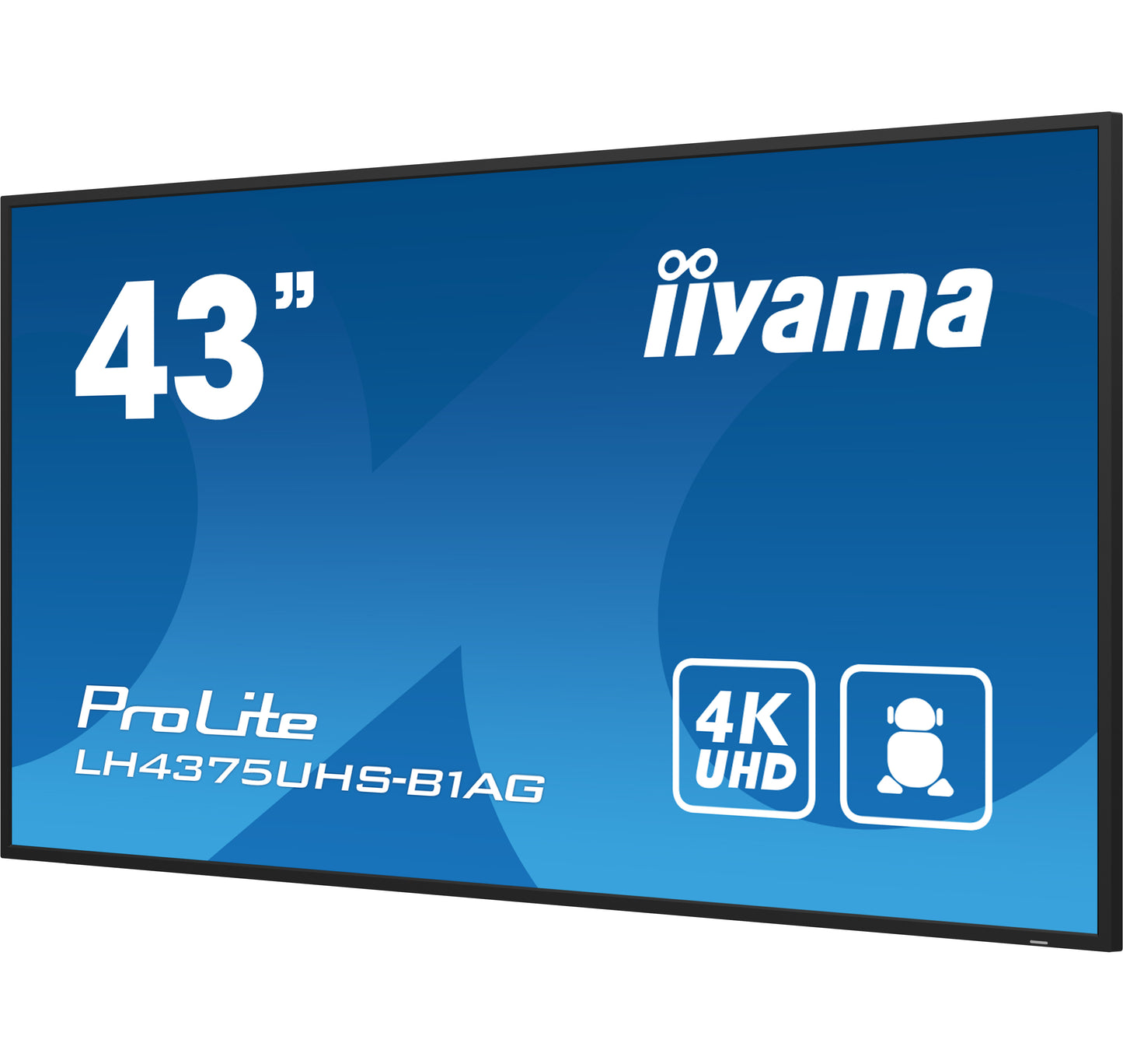 43W LCD 4K UHD IPS