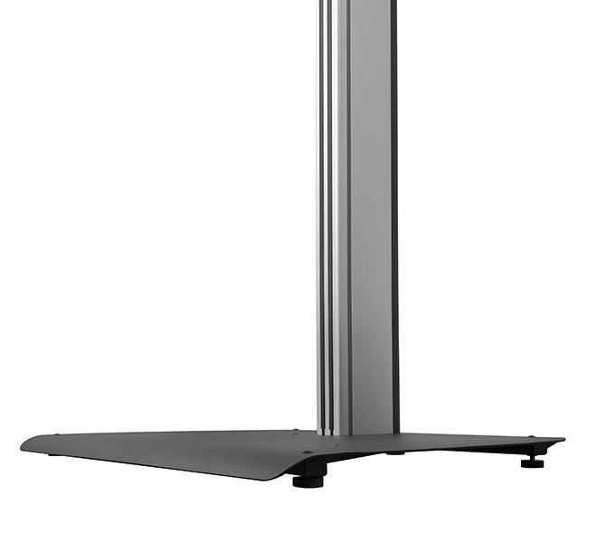 SYSTEM X - Universal Flat Screen Floor S