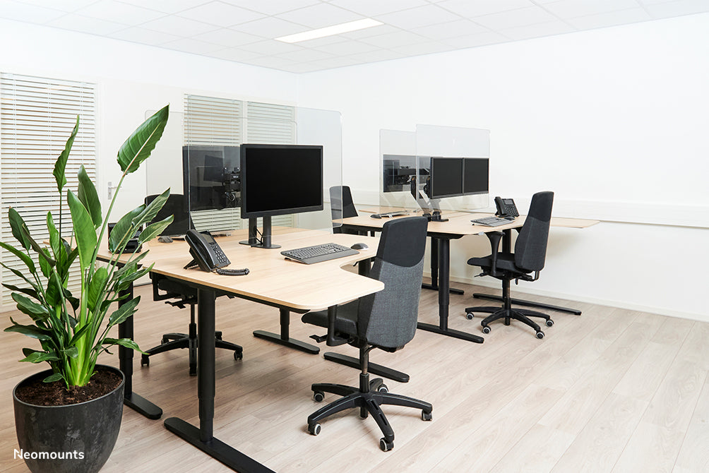 Transparent Protection Screen for dual monitor use - assembly on VESA 100x100 mm