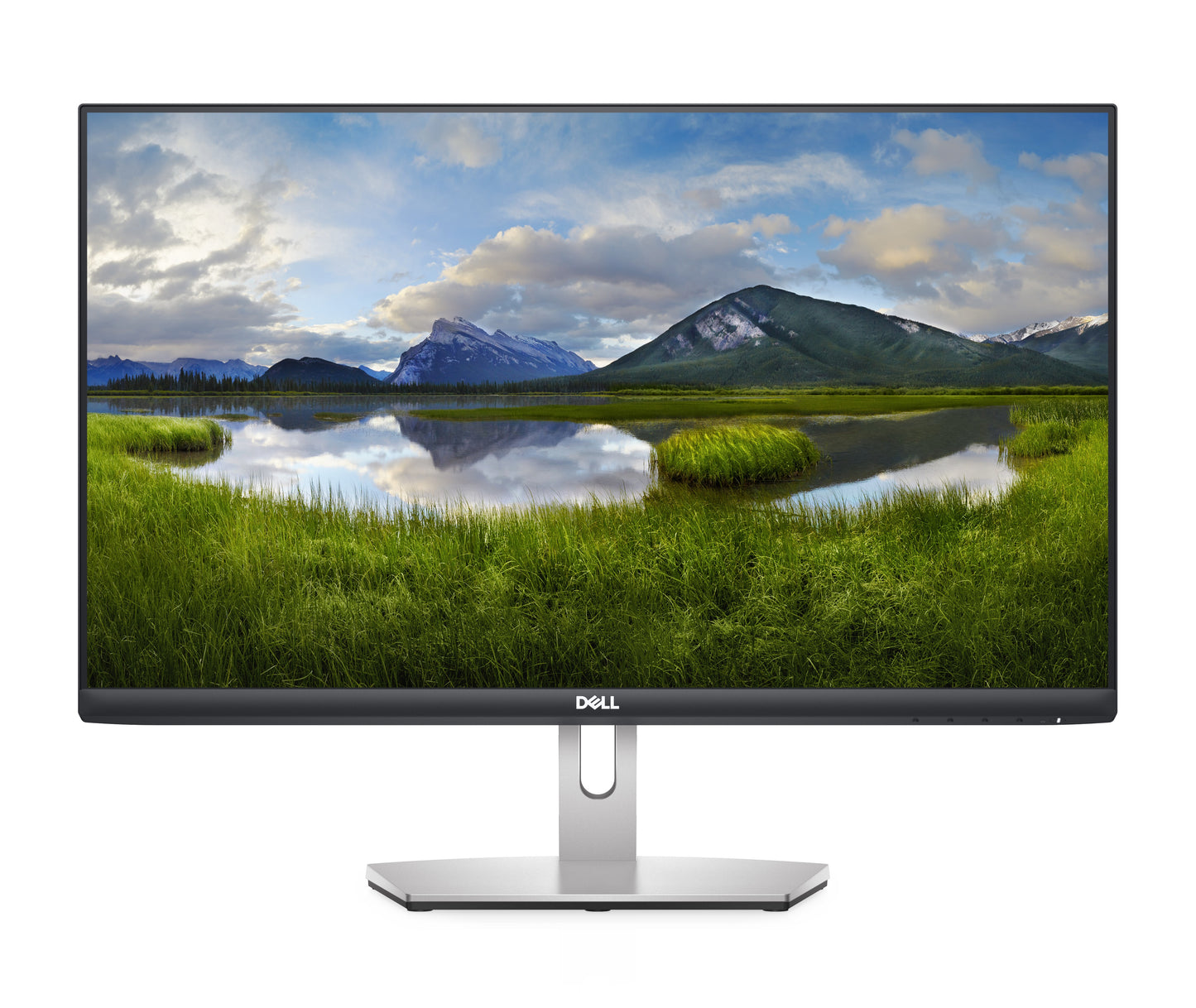 Dell 24 Monitor S2421HN -60.45cm DELL-S2421HN