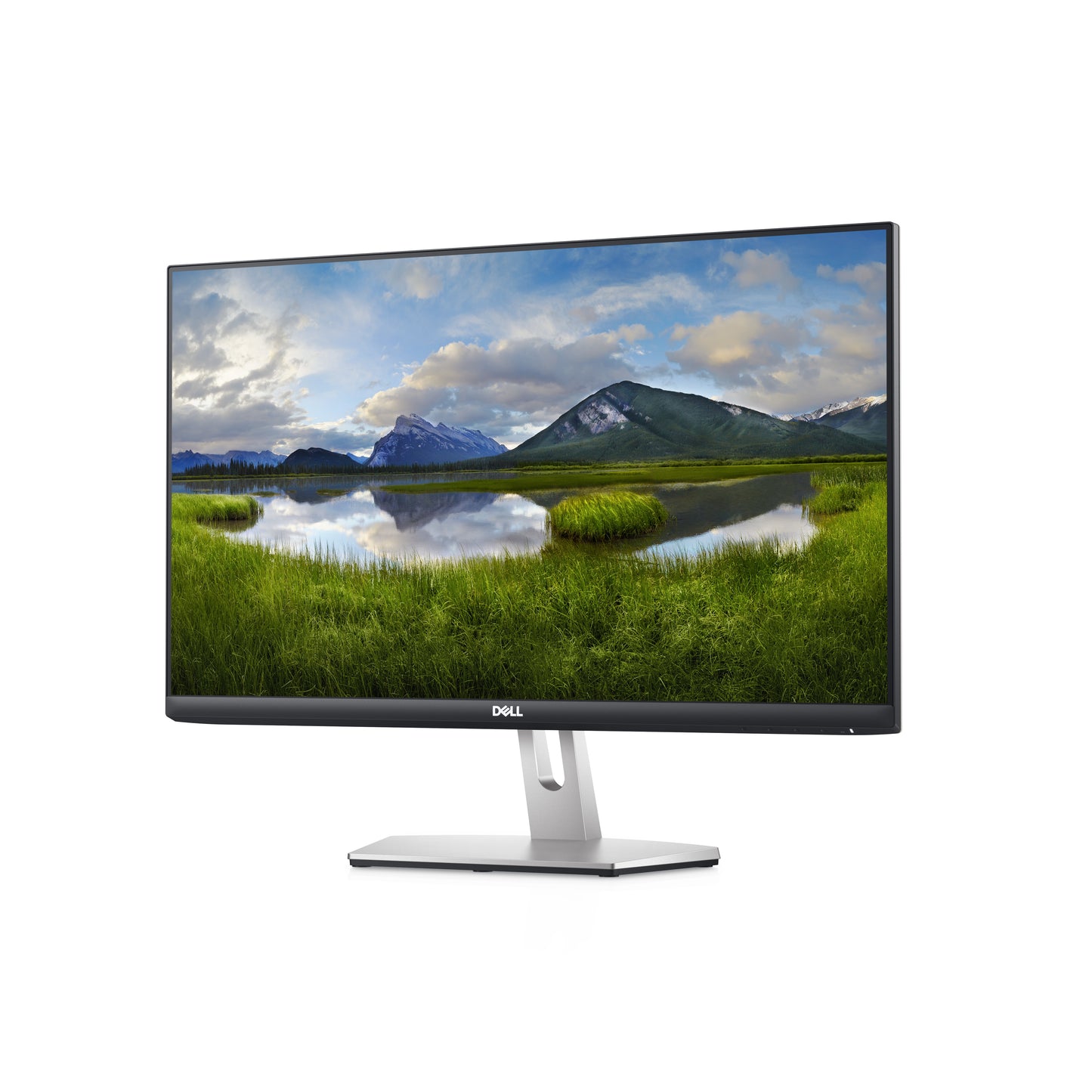 Dell 24 Monitor S2421HN -60.45cm DELL-S2421HN
