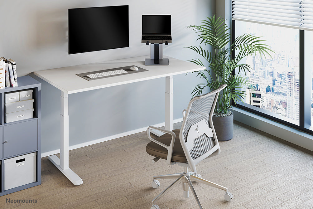 NewStar Notebook Desk Stand
