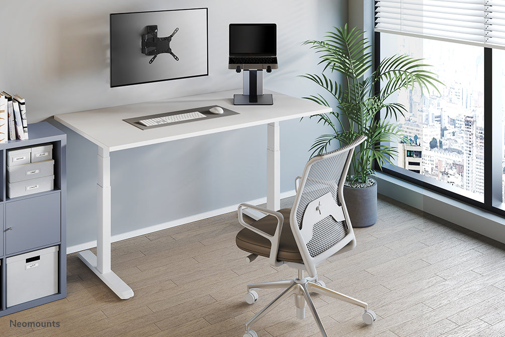 NewStar Notebook Desk Stand