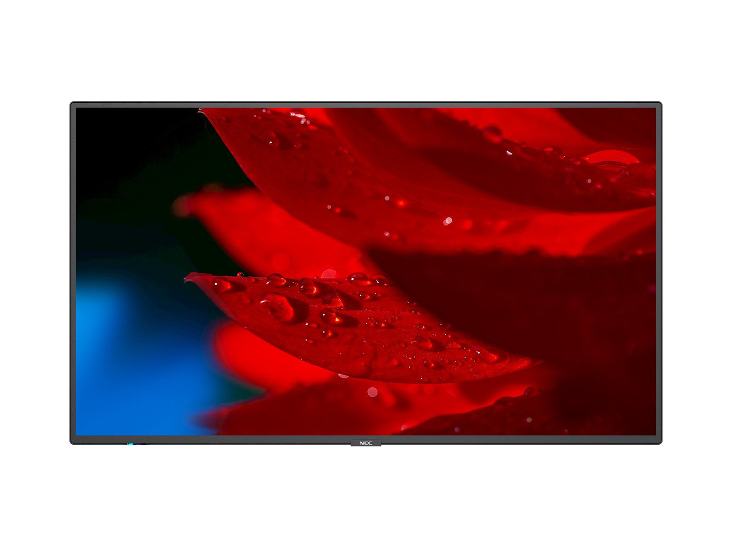 MultiSync MA491 60005050