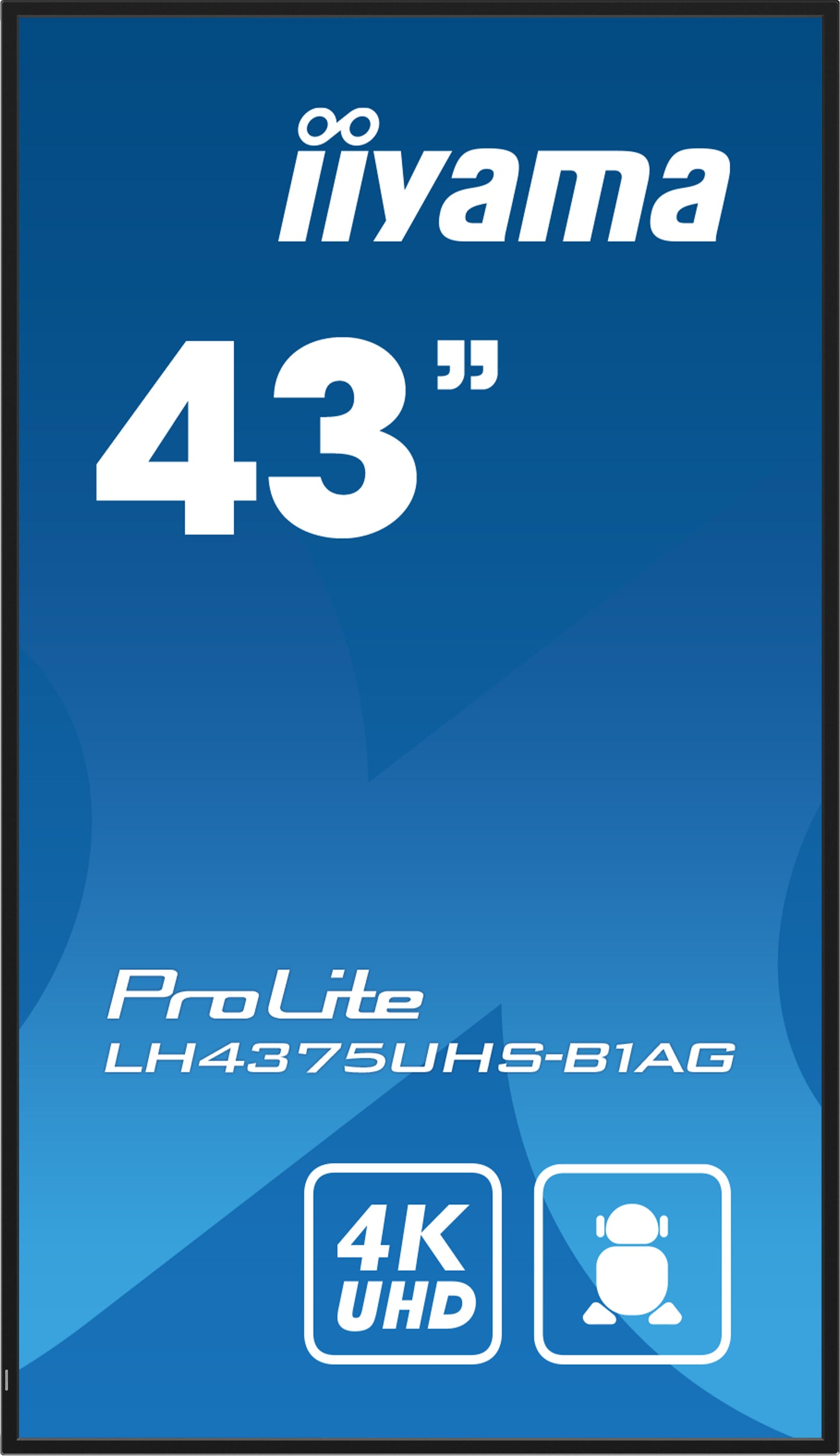 43W LCD 4K UHD IPS