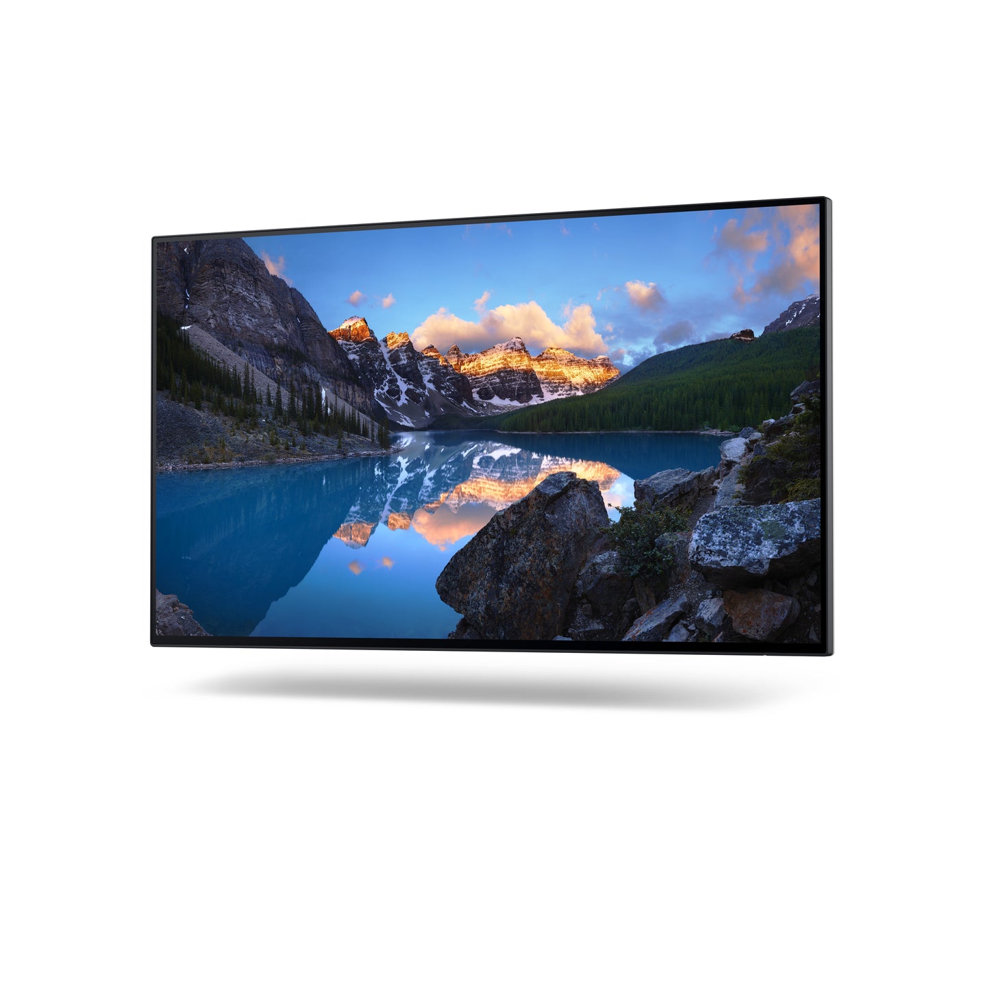 Dell UltraSharp 24 Monitor - U2422H DELL-U2422H