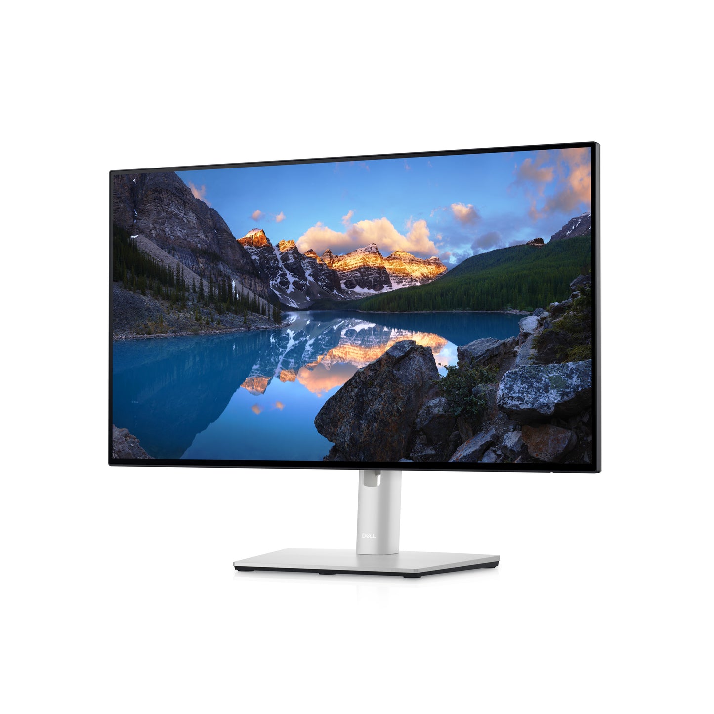 Dell UltraSharp 24 Monitor - U2422H DELL-U2422H