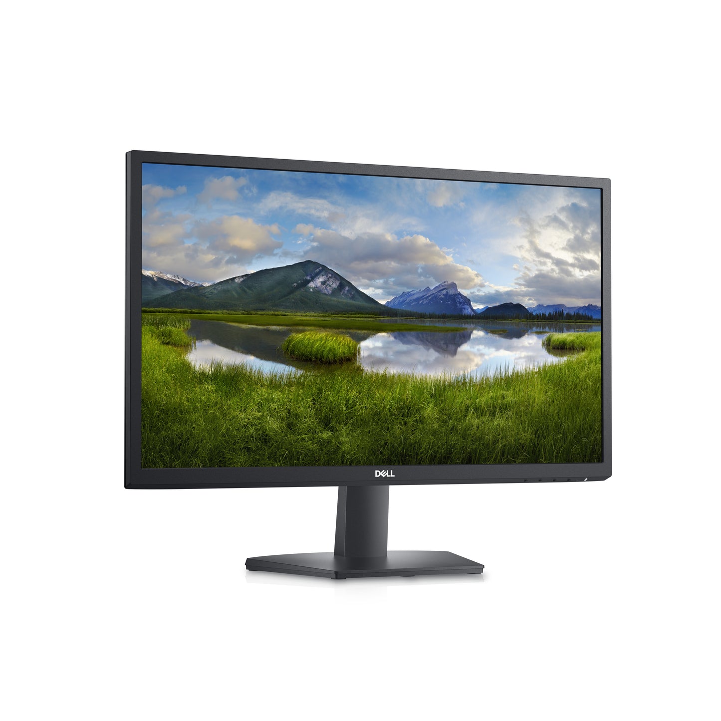 TFT SE2422H 23.8IN VA 16:9 1920X1080 DELL-SE2422H