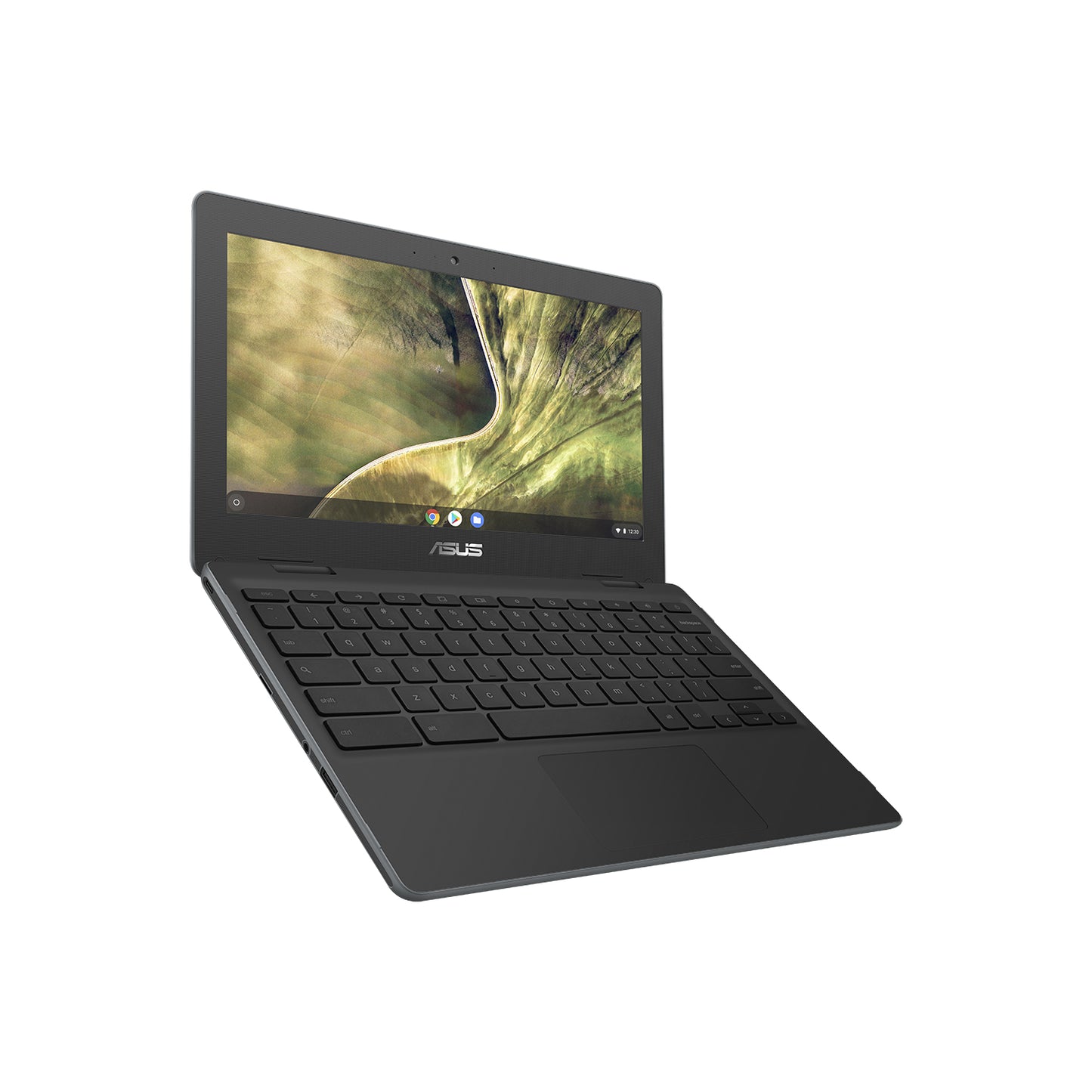 Asus C204MA-BU0449-NL/90NX02A1-M06010 90NX02A1-M06010