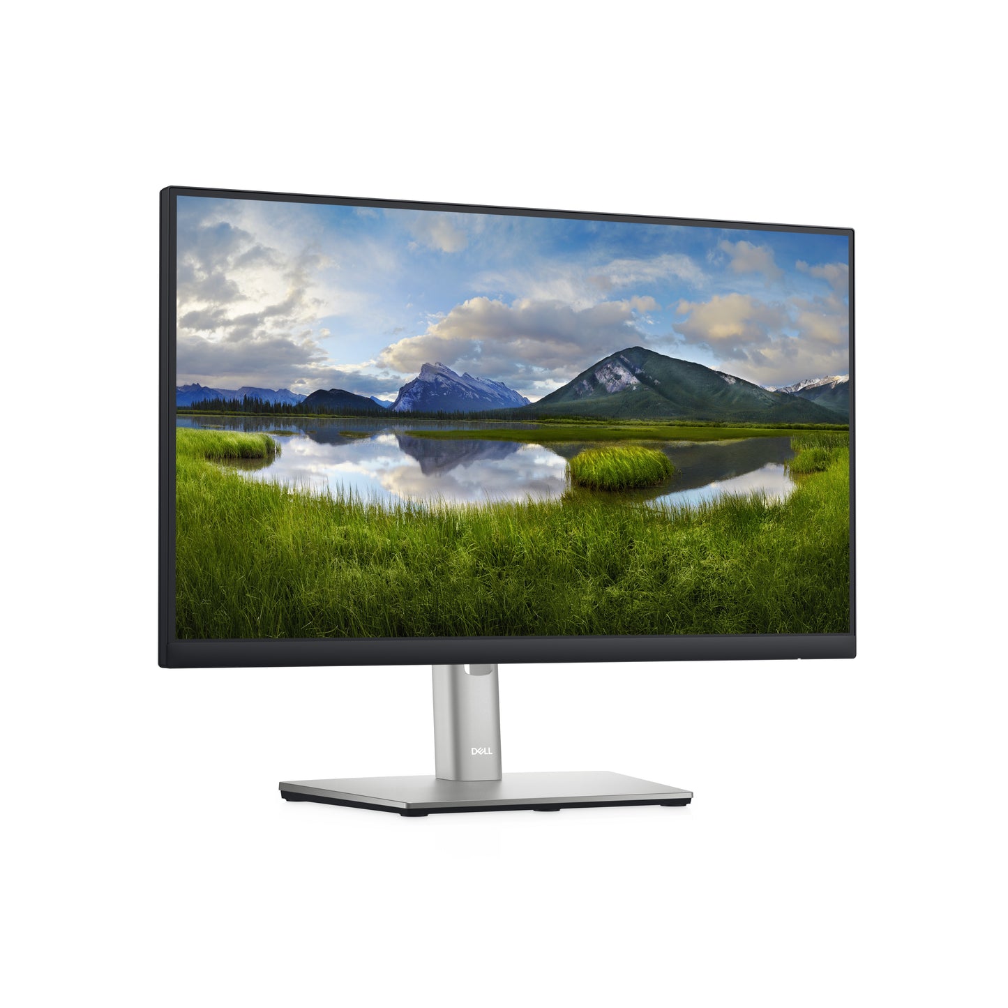 Dell 22 Monitor P2222H 21.5IN 1920x1080 DELL-P2222H