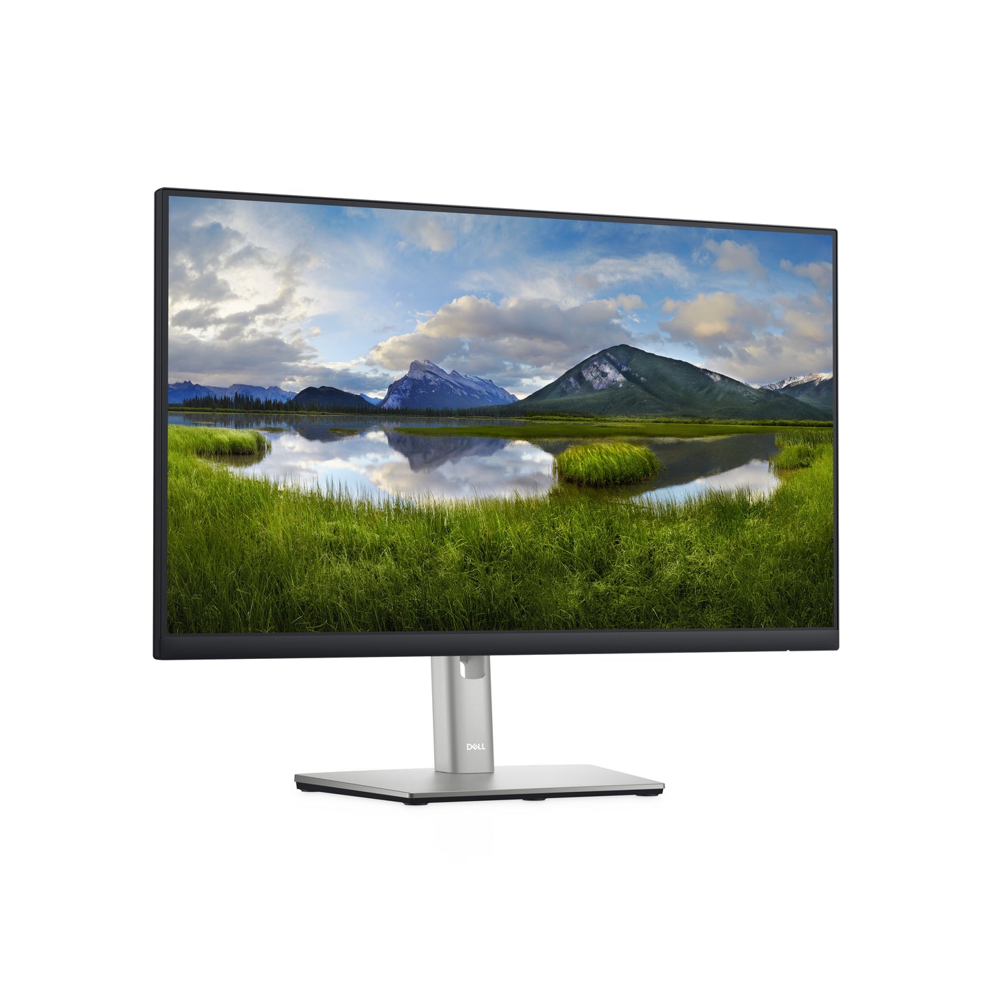 Dell 24 Monitor P2422H 23.8IN 1920x1080 DELL-P2422H