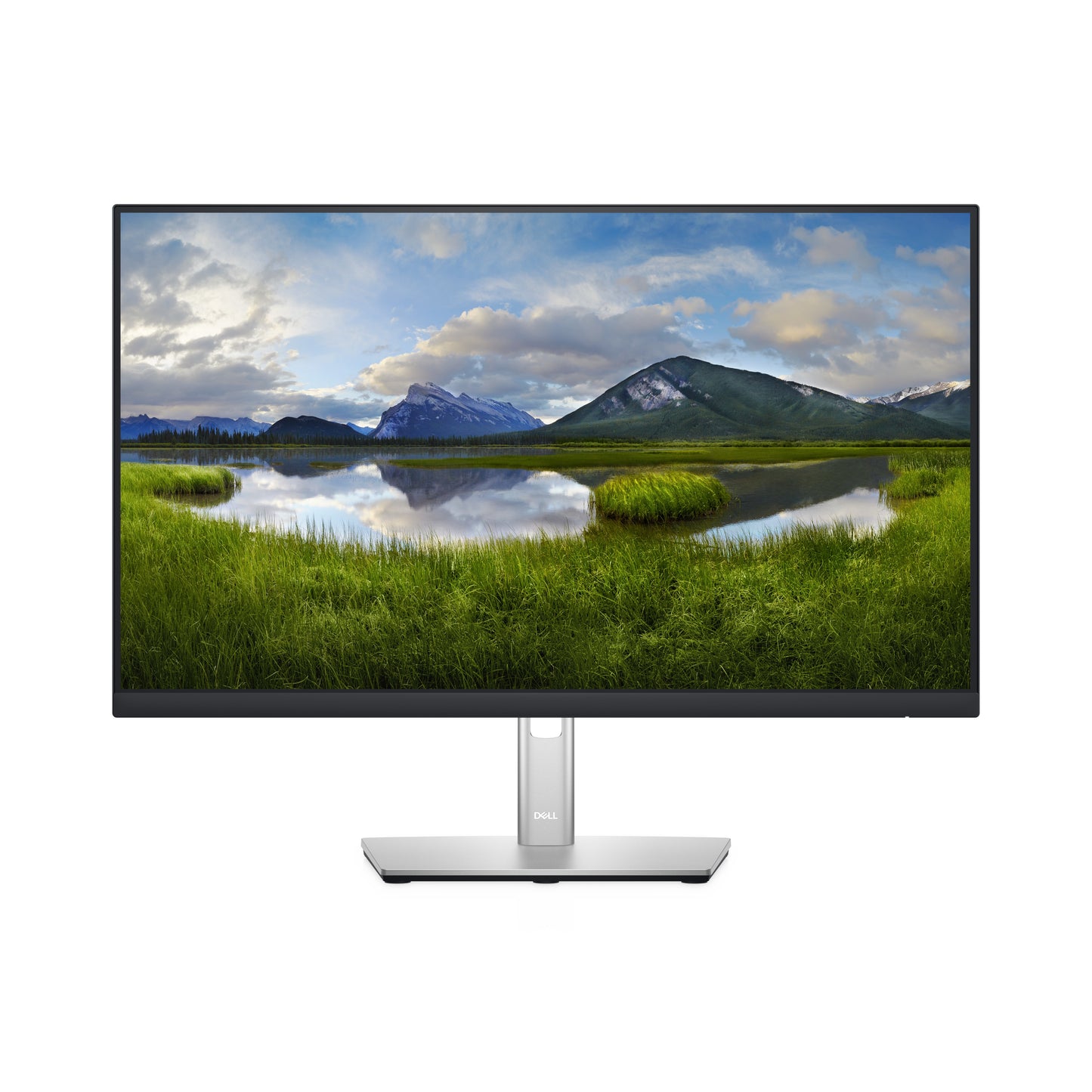 Dell 24 Monitor P2422H 23.8IN 1920x1080 DELL-P2422H
