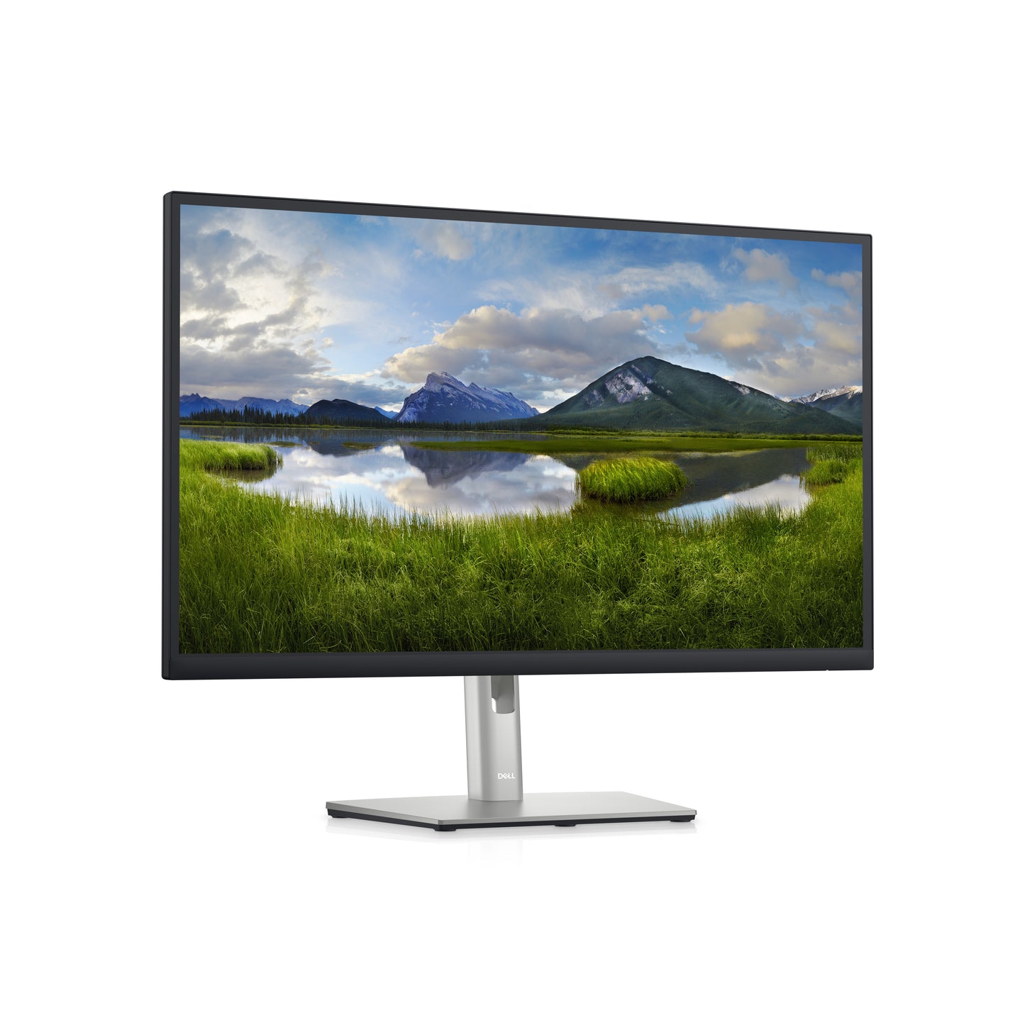 Dell 27 Monitor - P2723D - 68.6cm 27IN DELL-P2723D