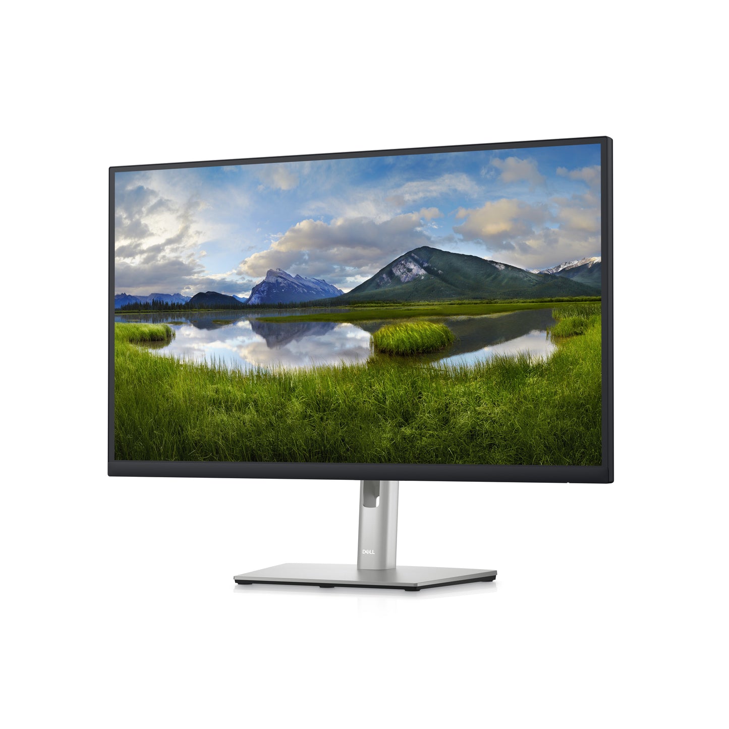 Dell 27 Monitor - P2723D - 68.6cm 27IN DELL-P2723D