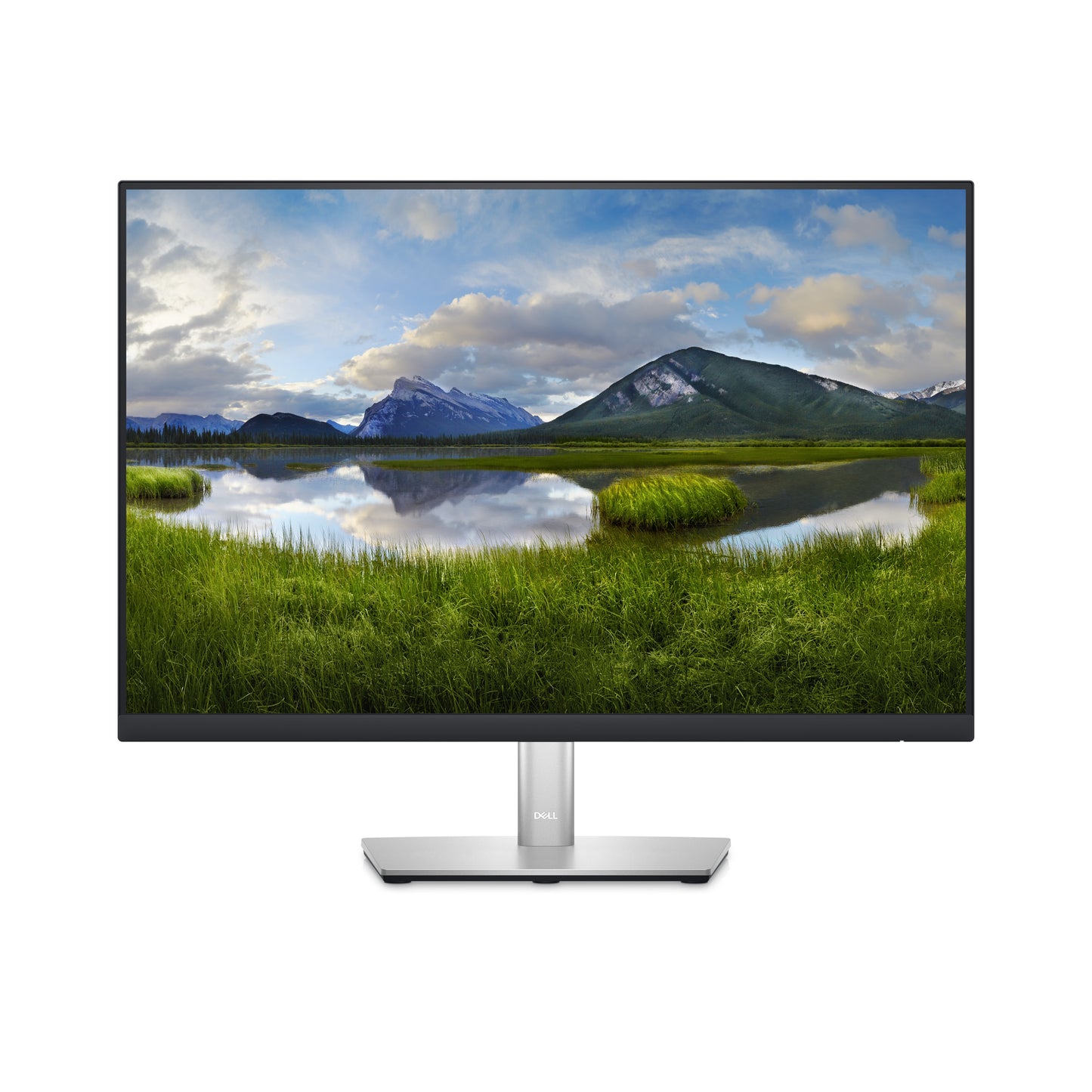 Dell 24 Monitor - P2423 - 61cm 24IN DELL-P2423