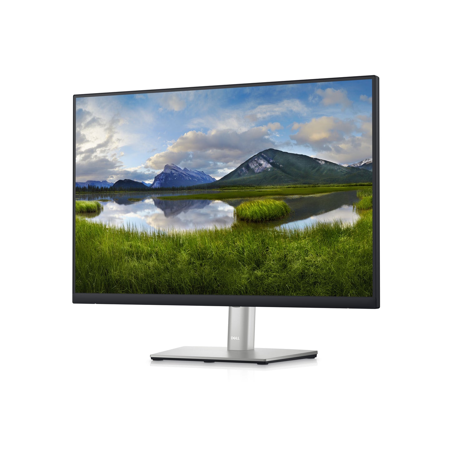 Dell 24 Monitor - P2423 - 61cm 24IN DELL-P2423