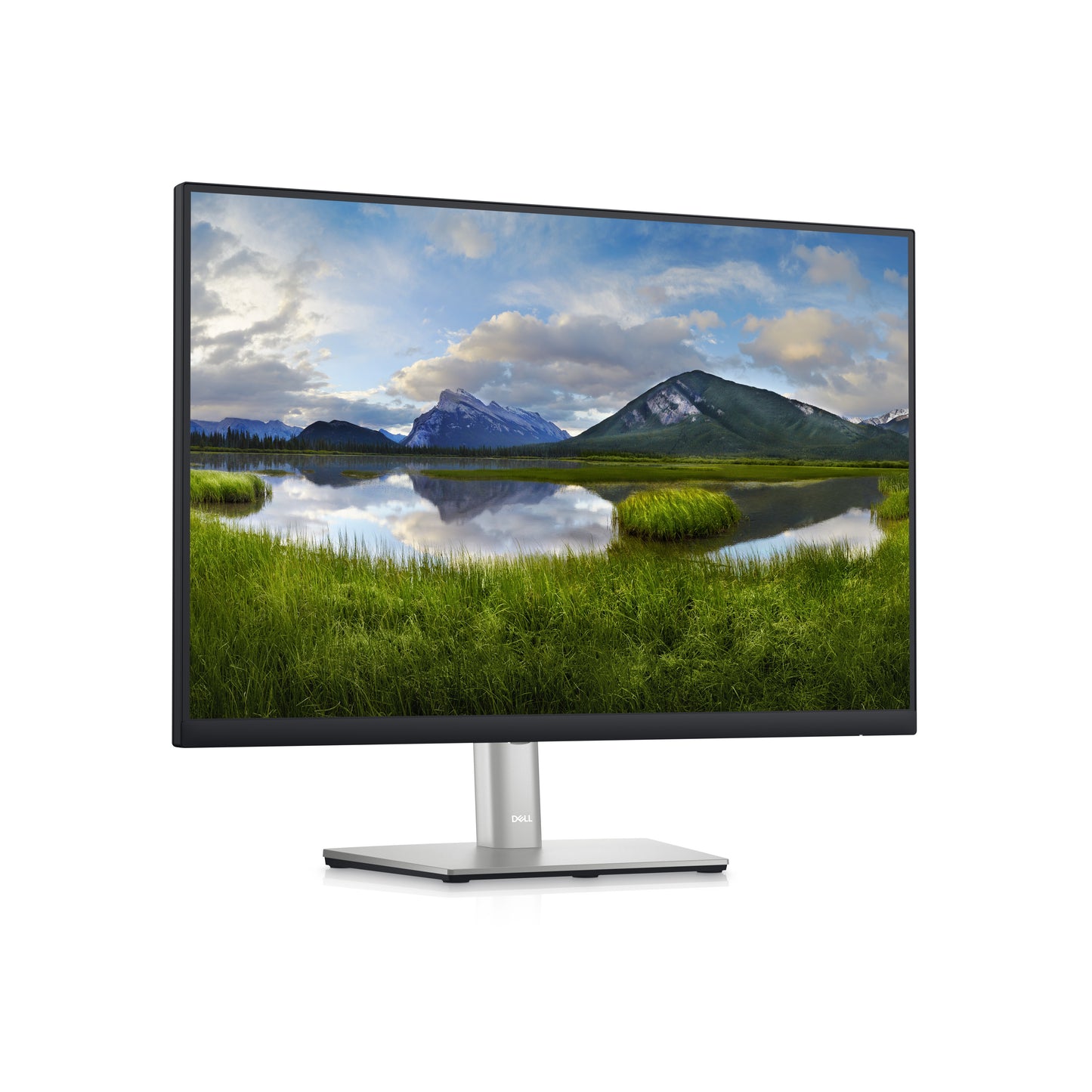 Dell 24 Monitor - P2423 - 61cm 24IN DELL-P2423