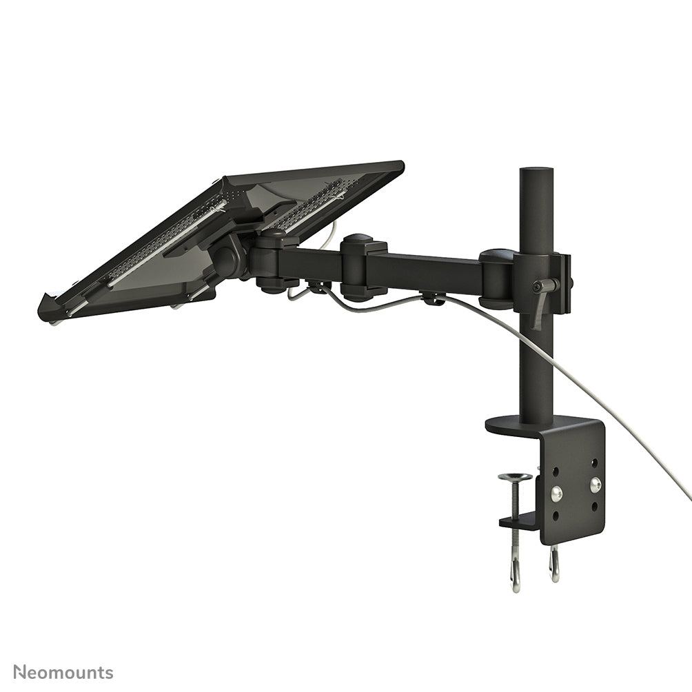 Notebook Arm NEWSTAR D-100 Black