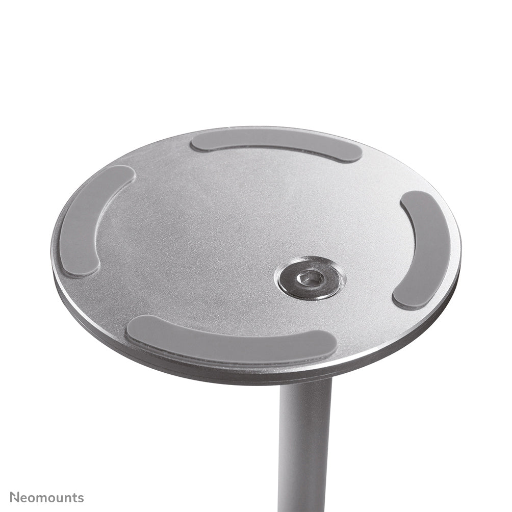 NewStar Phone Desk Stand (suited for phones up to 7) silver