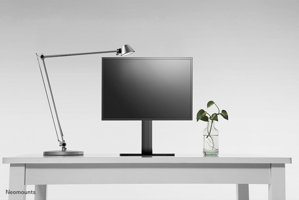 NewStar Flat Screen Desk Mount stand