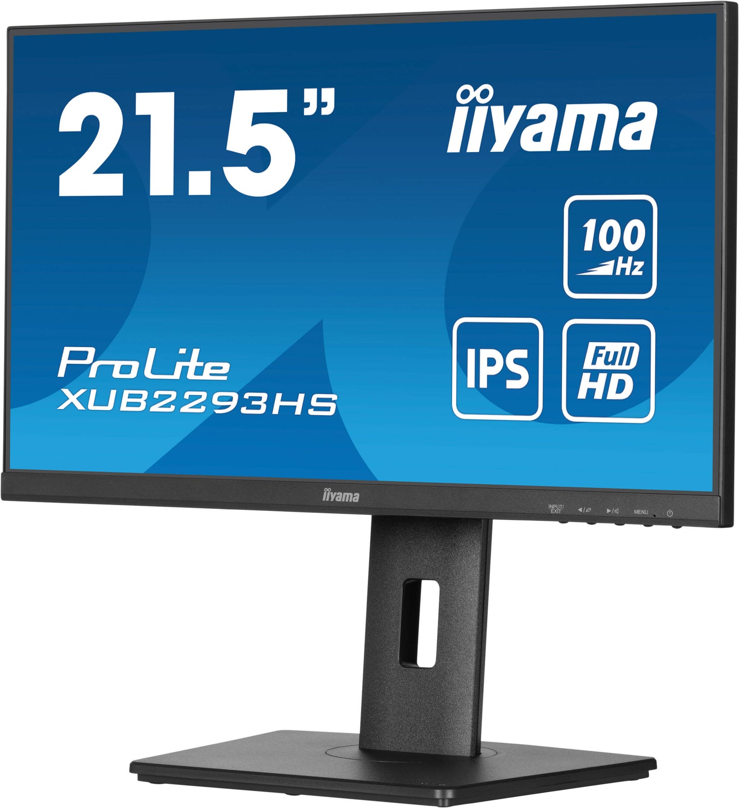 IIYAMA 22W LCD Business Full HD IPS