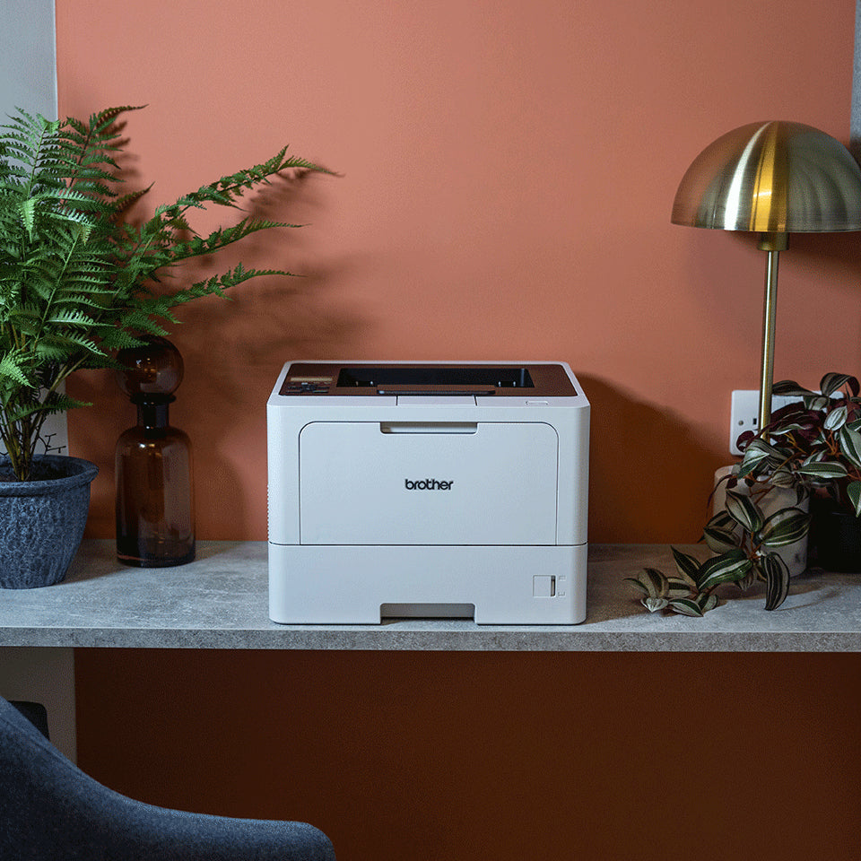 Brother Laser printer HL-L5210DW