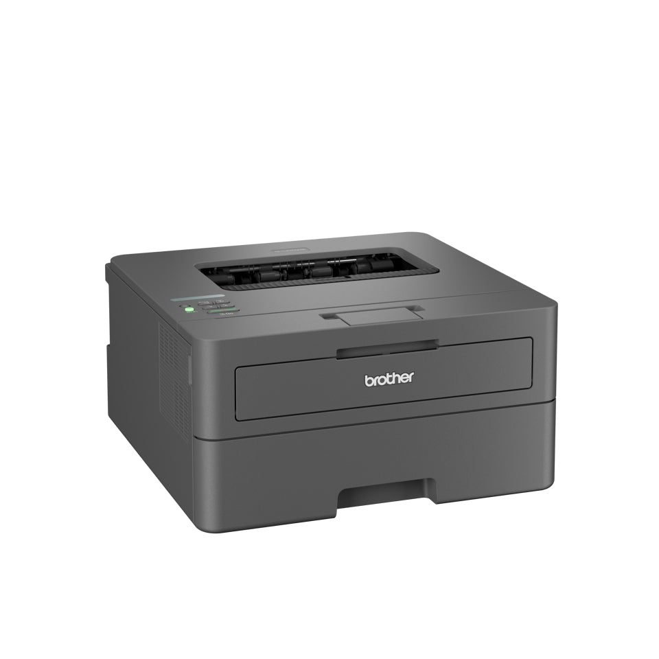 Brother Laser printer HL-L2400DWE