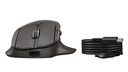 HP Ultra-Fast Scroll Wireless Mouse 780M B8YX3AA#ABB