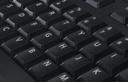 Keyboard : US/Euro (QWERTY) Dell KB-522Wired Business Multim