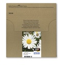 EPSON Multipack 4-colours 18XL EasyMail