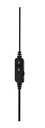 Stereo USB headset