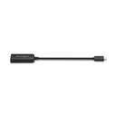 CV5000DP USB-C 4K/8K DisplayPort 1.4 Adp K34680WW